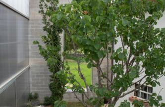 Anonima Agricola - Foto 49