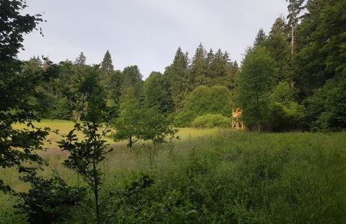 ferienwohnungen.ruhla - Foto 26