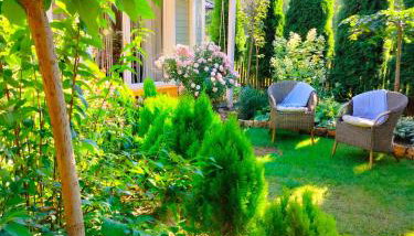 Miętowy domek - Foto 5, Garden view