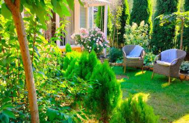 Miętowy domek - Foto 5