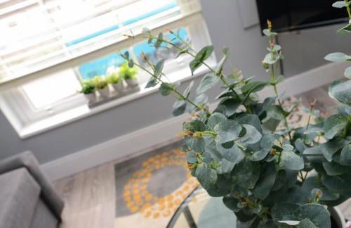 Arena Apartments - Stylish and Homely Apartments by the Ice Arena with Parking - Photo 69