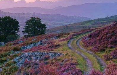 Happy Horse Cottages - Foto 58