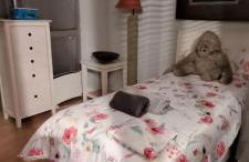 Triplex Deluxe con terrazas al Pirineo y Golf - Foto 41