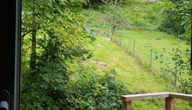 Appartement cosy calme à l'orée du bois - Foto 2, Garden