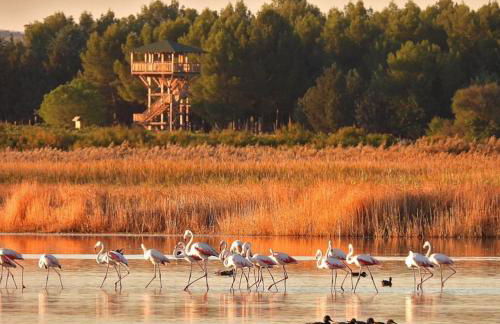 La Casa de los Abuelos - Foto 42
