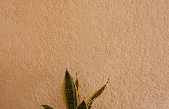 Room in House - Una Joya Para Dormir En Chapalita - Foto 19