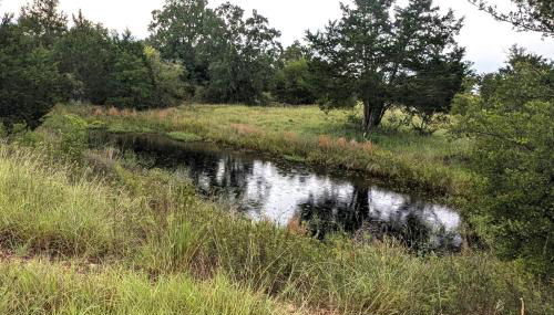 The Hill House - Foto 3