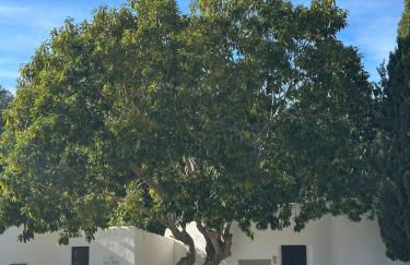 Casa Gatu Verdi-Garden Apartment with Pool - Foto 6