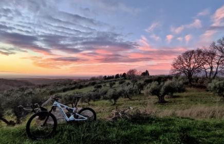 Agriturismo Podere Santa Rita - Foto 39