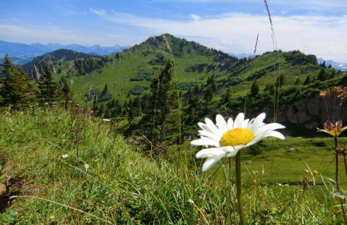 Ferienwohnung Grüntenpanorama im Jägerwinkl Allgäu - Foto 35