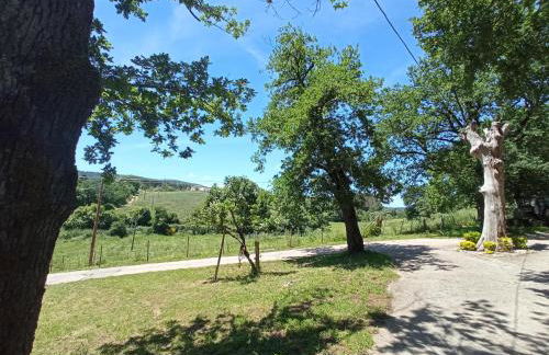 O Val de Vilaboa - Foto 29