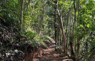 Casa do Aconchego - Photo 67