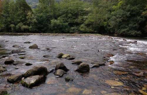 Ca Rifo, casa rural en Asturias, puerta de Somiedo a orillas del río Narcea - Foto 49