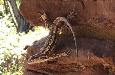 Fishers Of Men Ranch Home - Photo 37