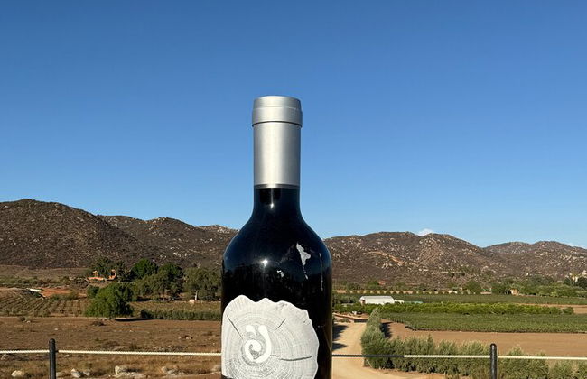 Private Deluxe Wine Tour to Valle de Guadalupe by Luxury Vehicle - Photo 11