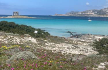 Carrabean sea in the North of Sardegna, with swimming pool - Foto 16