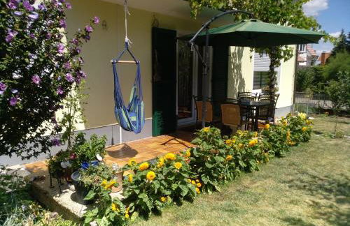 Kakteengarten - Foto 12