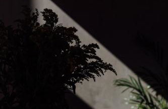 Stodoła naturalnie - wyjątkowy dom z balią na Kaszubach nad jeziorem - Foto 27