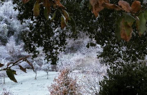 Casa do Ouriço - Foto 48