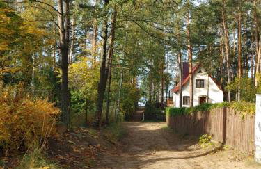 Domek w Borach Tucholskich - Wycinki - Foto 49