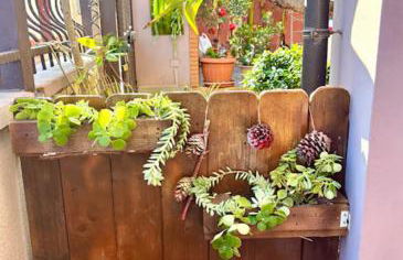 Il Cortiletto - Foto 6