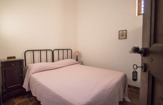 Masseria Citulo - Il Pino Grande - Foto 8