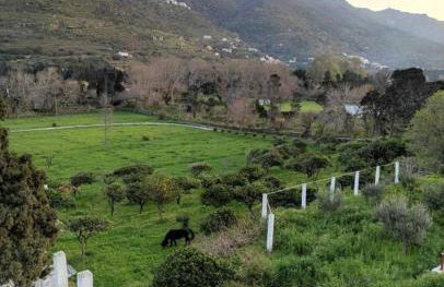 Stellinas Pretty House - Foto 17