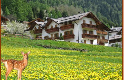 Casa Bamby - Foto 32