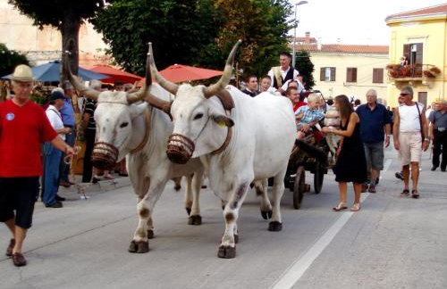 Villa Visnjan Residence - Photo 50