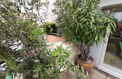 studio joli - Foto 30