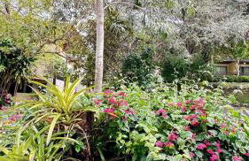 Flat Hotel Fazenda Monte Castelo Gravatá Bezerros - Foto 70