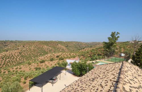 Molino Los Cardenes 1911 - Foto 15