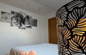 Apartamentos Suites Olmedo - Foto 28