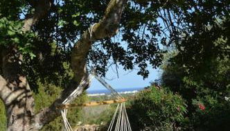 Finca Casa Rubi with Pool and ocean view - Foto 4