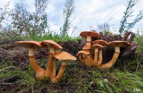 Apartamento Turístico La Ribera - Foto 45