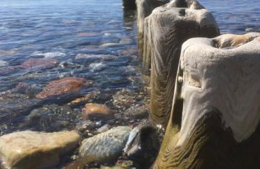 FeWo Karnitz/Rügen - Foto 11