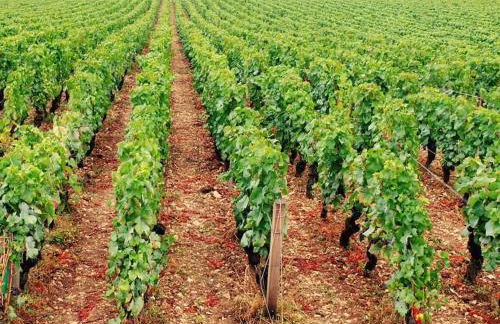 CHARMING FLAT IN HISTORICAL CENTRE - Foto 37