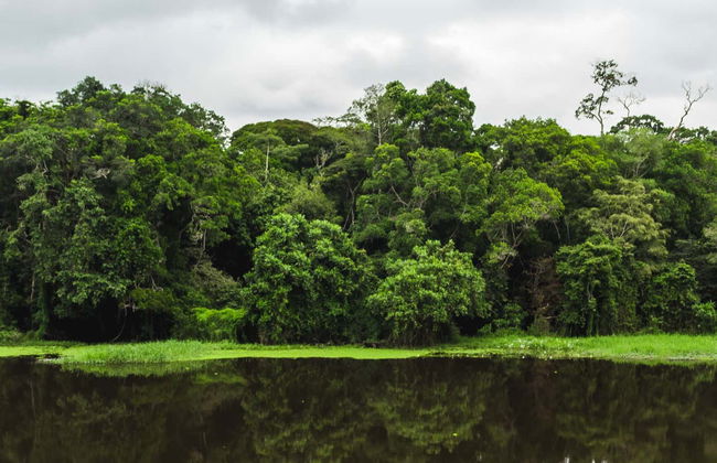 Excursion au Parc national de la Mefou et à la réserve forestière d'Ebogo - Photo 5
