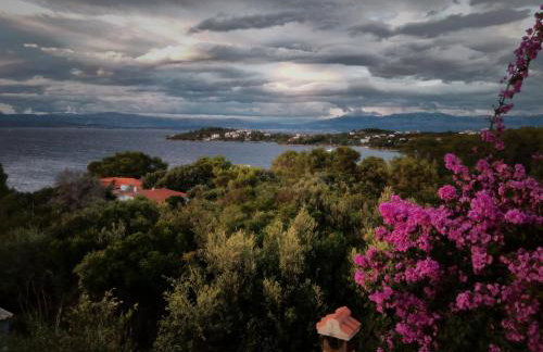 Apartment Bura - Foto 6