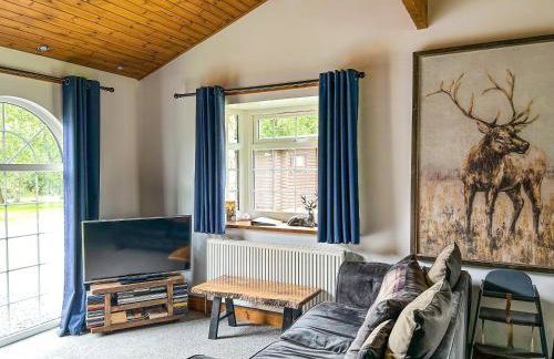 The Curious Stag - Foto 7