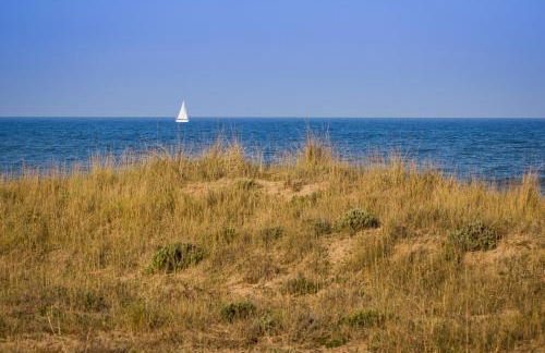 Can Pauet Apartaments - Foto 32