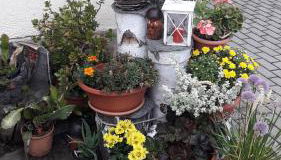 Sommerfrische - Foto 5