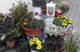 Sommerfrische - Foto 5