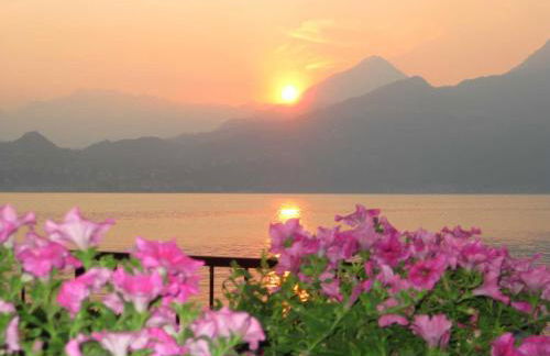 Divina Vita Apartments - Foto 35