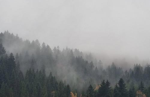 Kasztanowy Zakątek - Foto 52