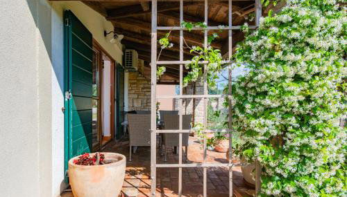 House Boris - Foto 3