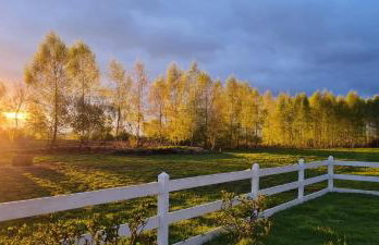 Błękit Żuław - Photo 10