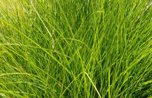 Holiday home Romana - Foto 9