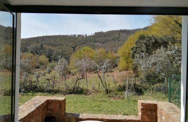 A Quinta da Colina Adega - Foto 10