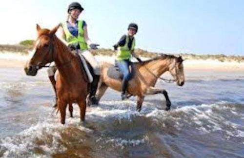 Spacious 5-Bedroom Victorian House Near Sandbanks - Sleeps 14, Parking & Garden - Foto 50